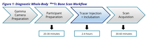 Merigold Image Acquisition Standards for Diagnostic Whole-Body 99mTc Bone Scan (Adults): Document Download (PDF) - Image 3