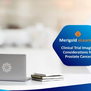Clinical Trial Imaging Considerations For Prostate Cancer: Streaming Video (72hr)