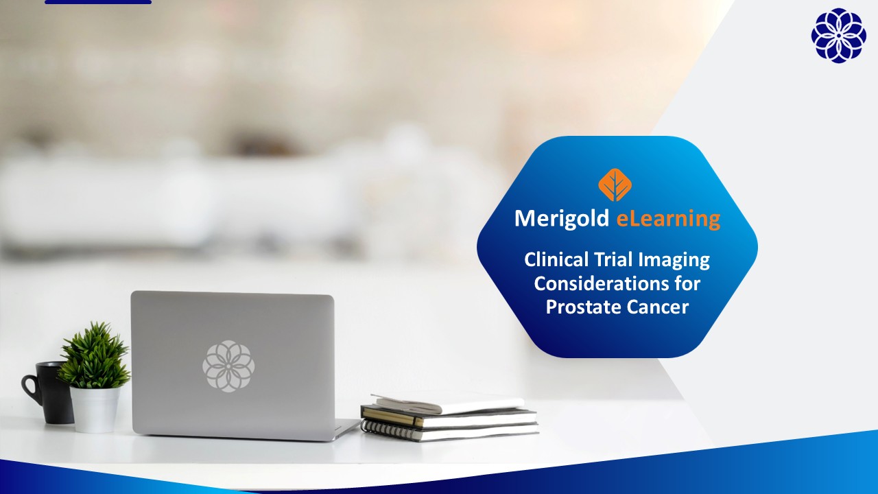 Clinical Trial Imaging Considerations For Prostate Cancer: Streaming Video (72hr)